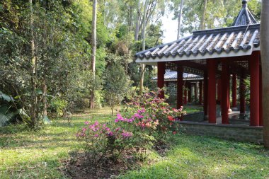 yemyeşil parkta, kırmızı sütunları ve beyaz fayansları olan antik bir pavyon var. Çiçeklerin tepesi güneş ışığında parlıyor, uzun ağaçlar ve çalılarla çevrili..