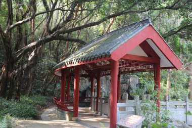 Geleneksel Çin mimarisi tarzında bir kırmızı pavyon, her iki taraftaki ağaçlar ve bitkilerle çevrili bir açık ormanın ortasında yer almaktadır..