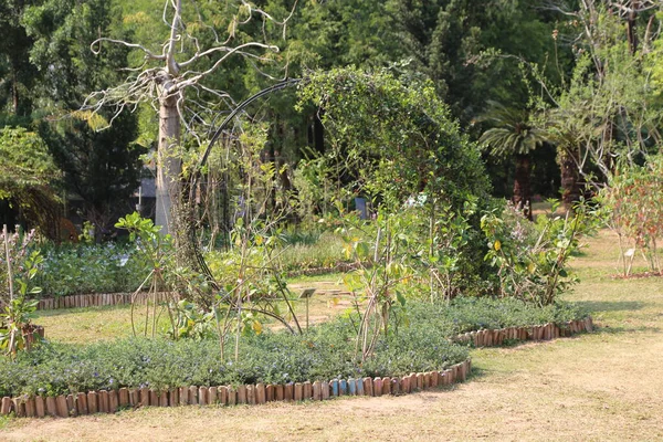 Parktaki sebze bahçesinde, etrafında yeşil bitkiler ve ağaçlar büyüyen bambu çubuklarından yapılmış bir kemer bulunuyor. Zemin, bir köşeden diğerine uzanan dairesel bir yol oluşturmak için küçük ahşap tahtalarla kaplı.