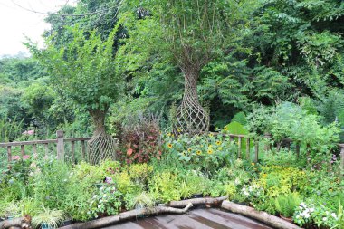 Bir sürü bitki ve ağaçla dolu büyük bir bahçe, ahşap bir güvertede sandalye şeklinde iki dolambaçlı yol, bir sürü farklı çiçek çeşidiyle çevrili. Bir ağaç tamamen örülmüş bir iple kaplıdır, küçük bir patikanın üzerinde bir kemer oluşturur.