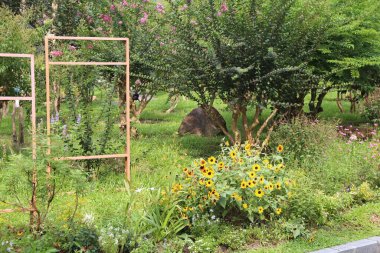 Ayçiçekleri de dahil olmak üzere çeşitli bitki ve çiçeklerle dolu bir şehir bahçesi. Bir köşede üzüm veya sebze yetiştirmek için ahşap bir çerçeve var.