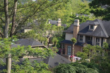 Çatı manzarası, manzaralı lüks bir mahalle manzarası. Sahne, yemyeşil ağaçlarla çevrili büyük ve küçük evlerle dolu.