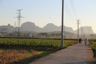Sabahın erken saatlerinde, Guangdong vilayetindeki boş bir kırsal yolda yüksek voltaj hatları ve çeltik tarlaları ile birlikte, uzaklarda bazı dağlık manzaralar var. İki kadın onun yanında yürürken bir çocuk bisiklete biniyor..