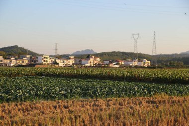 Sonbaharda, güney Çin 'deki tarlalar pirinç ve mısırla altın rengindeydi. Önlerinde beyaz duvarlarla çevrili küçük bir köy vardı. Evlerin düz çatıları ve cam veya kristal malzemelerden yapılmış pencereleri vardı..