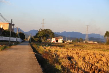 Sonbaharda, güney Çin 'deki pirinç tarlaları sarardı ve yolun her iki tarafındaki çiftçiler için hasat mevsimi eski bir Çin kasabasına gidiyor. Önlerinde kırmızı duvarları ve beyaz fayansları olan başka bir ev daha vardı.