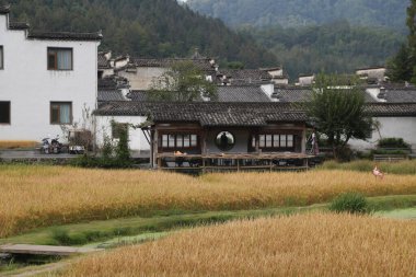 Mimarlık alanında Çin tarzında, pirinç tarlalarıyla çevrili çok sayıda beyaz duvarlı evin önünde masa ve sandalyelerin bulunduğu açık hava yemek alanı vardır. Sonbaharda, insanlar yakındaki renkli buğday tarlalarını da görebilirler.