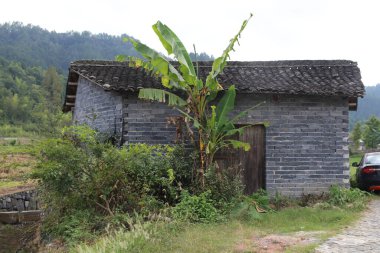 Koyu mavi tuğla ve kiremitlerden yapılmış, önünde muz ağacı olan küçük bir kırsal ev. Duvarların üzerinde yabani otlar yetişiyor. Yanında eski bir araba var..