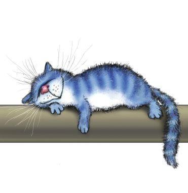 Bir kedi bir sıcak tüp yatıyor