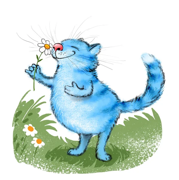 Blue cat i kwiat — Zdjęcie stockowe