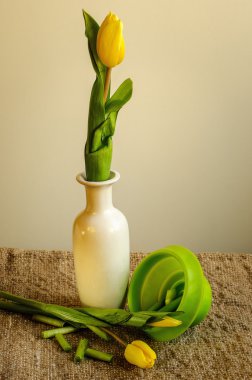 Vazodaki sarı laleler