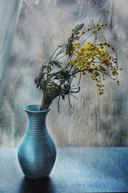 Apple, yulaf ezmesi ve nane