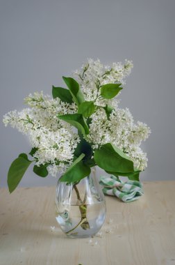 bir sürahi içinde beyaz leylak