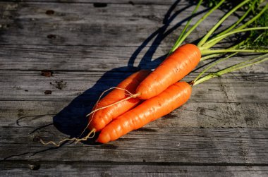 Ahşap bir masa üzerinde taze havuç hasat