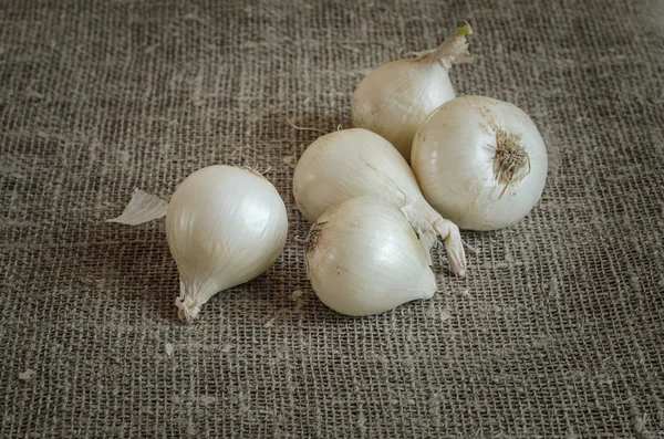 Cebolla blanca en una servilleta de arpillera — Foto de Stock