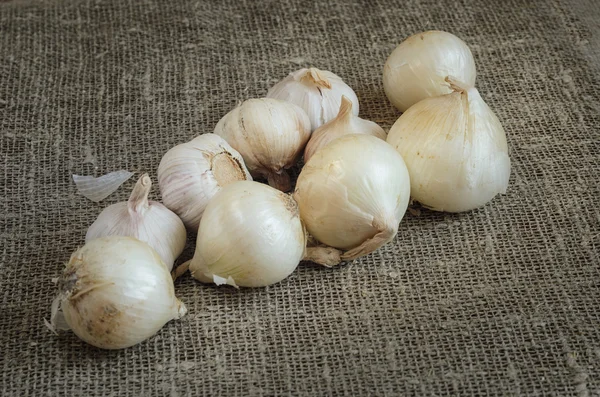 Cebolla blanca y ajo en una servilleta de arpillera — Foto de Stock