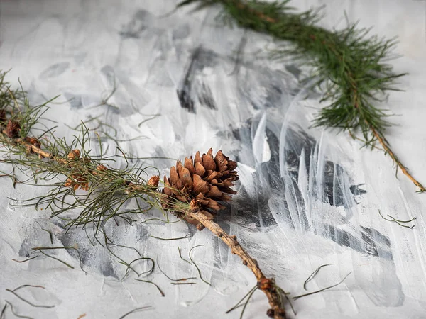 Köknar dalları ve kozalaklarla dolu Noel kartı. — Stok fotoğraf