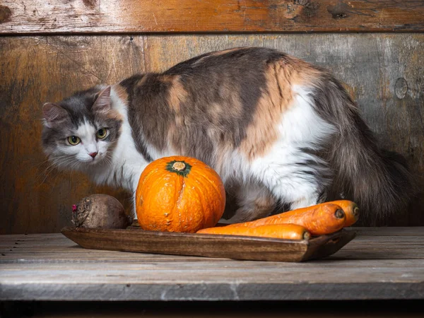 Niegrzeczny Kot Wspina Się Stół Warzywami Leżącymi Długiej Drewnianej Tacy — Zdjęcie stockowe