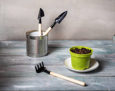 Evde yetişmesi için fideleri ekmeye hazırlanıyorum. Bahçe aletleri ve ahşap masa üzerinde toprak olan yeşil tencere.