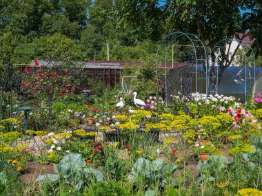 Kırsal bir sebze bahçesinin yaz manzarası çiçek ve bitkilerle, bahçe dekorasyonu için dekoratif süsler, yaz günü