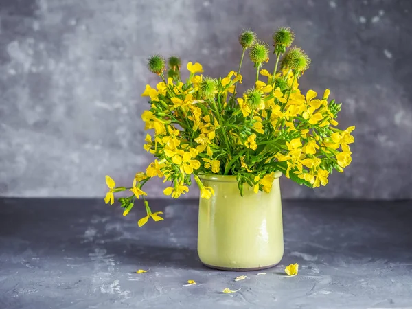 Sommerstrauß Aus Gelbem Raps Einem Tonglas Nahaufnahme Dekoratives Heilkraut — Stockfoto