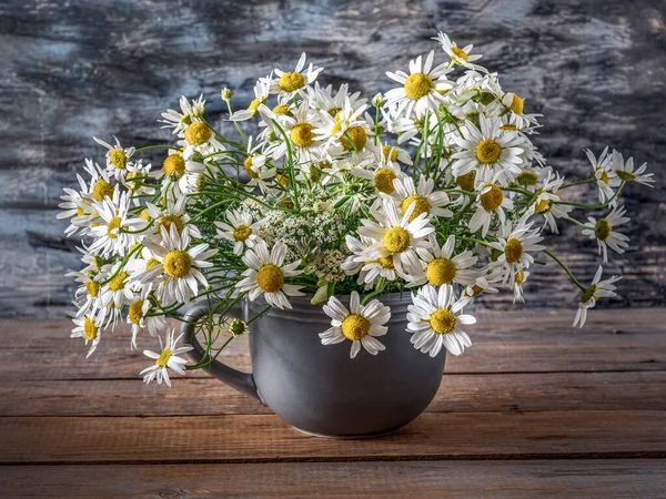 Buchet Margarete Sălbatice Într Cană Gri Mare Flori Vară Aproape — Fotografie, imagine de stoc