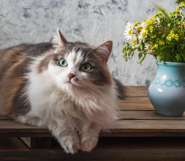 Пушистый кот лежит на деревенском кухонном столе, рядом с букетом полевых цветов в голубой вазе — стоковое фото