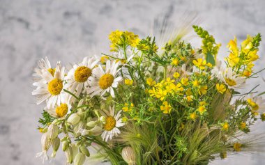 Duvar kağıdı ya da arka plan için kır çiçekleri, papatya, düğün çiçekleri