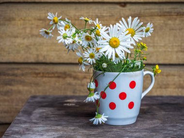 Parlak yaz buketi, beyaz papatya çayı, benekli beyaz kupa.