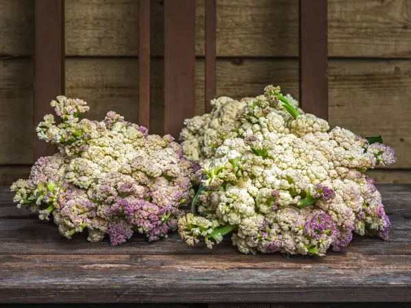 Cauliflower Table Standing Porch Country House Close — Stock Photo, Image