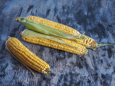 Üç olgun çiğ mısır koçanı yakın plan karanlık bir masada.