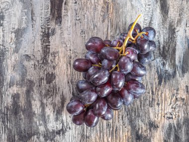 Gri arkaplandaki siyah üzümlerden oluşan bir dal.