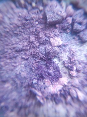 Menekşe ufalanan göz farı, arka plan