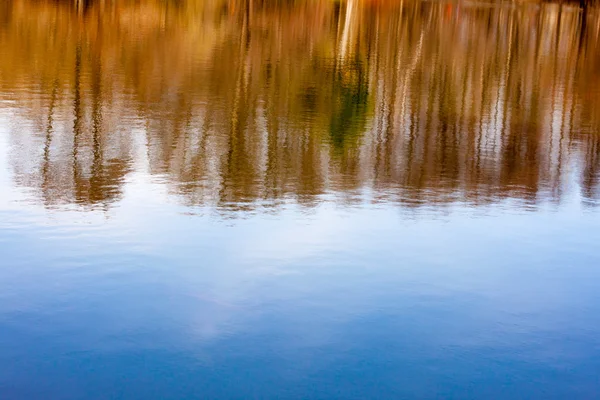 Spring trees reflecting in the water — Stock Photo, Image