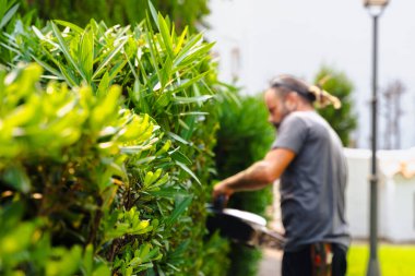Bahçıvanın yemyeşil çalıları budaması ve şekillendirmesi budama makası ile mevsimsel bahçe bakımı, bahçe bakımı, sağlıklı bitkiler ve çevre için profesyonel bahçe işleri