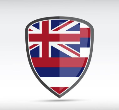 Gri arka planda Hawaii bayrağı olan bir kalkan simgesi. Vektör illüstrasyonu.