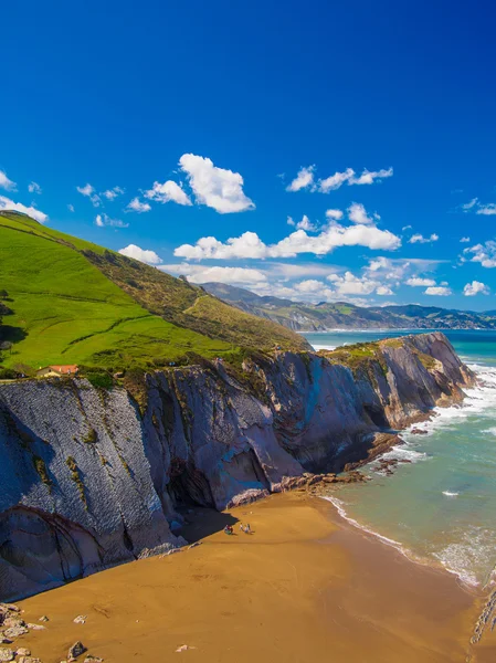 Lekeitio beach Island güneşli — Stok fotoğraf