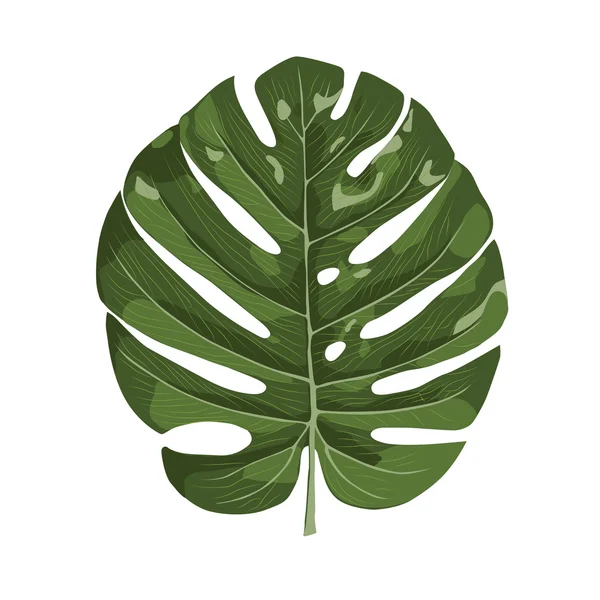 Пальмовые листья тропические Стоковый вектор