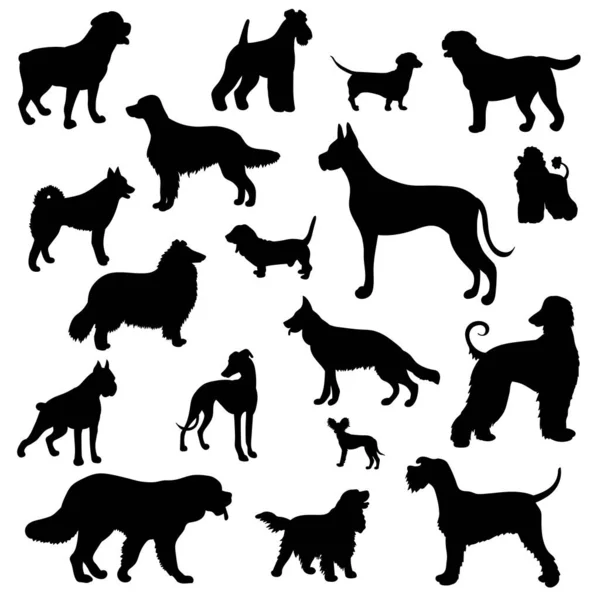 Beyaz arka planda farklı köpek türlerinin siyah siluetleri ile vektör seti