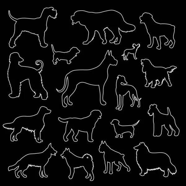 黒の背景に異なる品種の犬の白い輪郭のベクトルセット — ストックベクタ