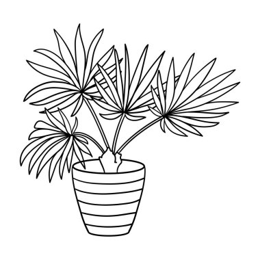 Saksı çiçeği, çocuklar ve yetişkinler için boyama sayfası. Vektör illüstrasyonu