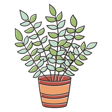 Büyük saksı bitkisi, vektör çizimi, beyaz arkaplanda izole et