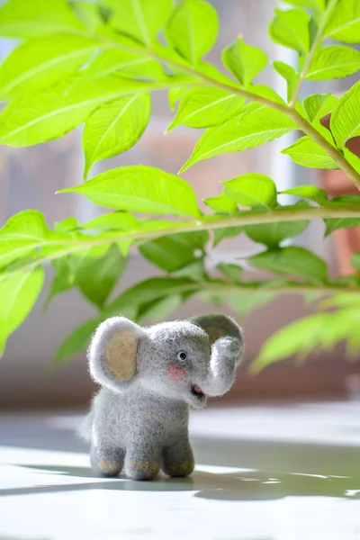 Cute woolly toy elephant under green leaves on a sunny day. Dry felting.