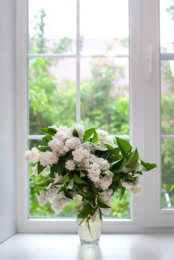 Beyaz bir pencere eşiğinde cam vazoda duran güzel bir buket İran leylağı