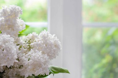 Evdeki pencerenin kenarındaki buketten beyaz bir leylak dalı.