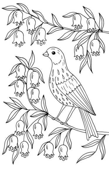 Красива Пташка Сидить Гілці Квітучого Дерева Квітах Розмальовка Дітей Дорослих — стоковий вектор