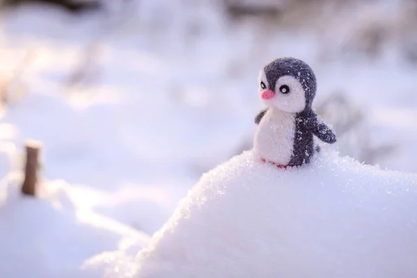 Handmade Felted Toy Penguin Made Wool Winter Snow Slide — Stock Photo, Image