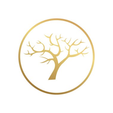 meşe ağacı logo vektör şablonu tasarımı