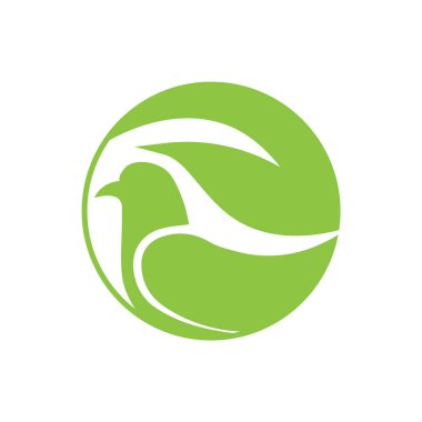 Kuş logosu tasarım şablonu vektörü.