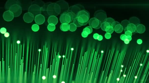 Technology Background with Optical Fibers. Flashing Light Signals Green Color. 3d animation. HD 1080. — Stock Video