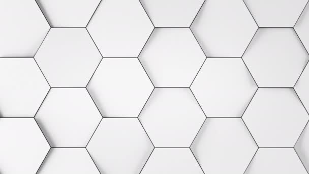 Fundo branco hexágono Close-up em movimento aleatório sem costura. Bela abstrato luz geométrica superfície acenando looped 3d animação. Padrão de grade hexagonal limpo brilhante. Conceito de Design Minimalista 4K. — Vídeo de Stock